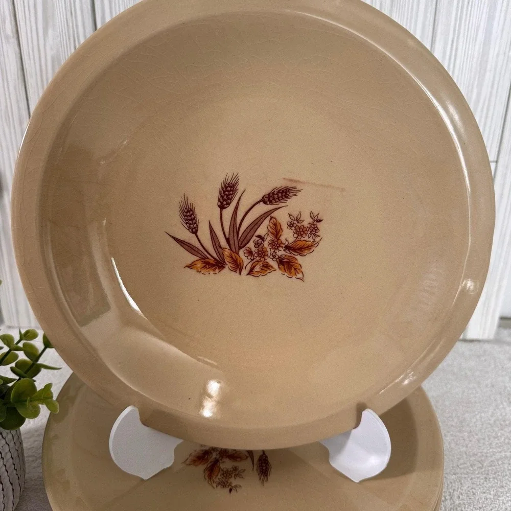 The Unbranded Brand mid century